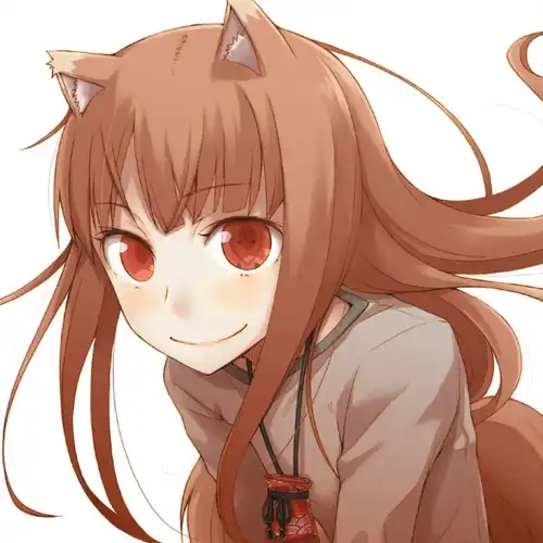 Spice and Wolf O.S.T. ~Music of a Journey with a Wolf~ cover