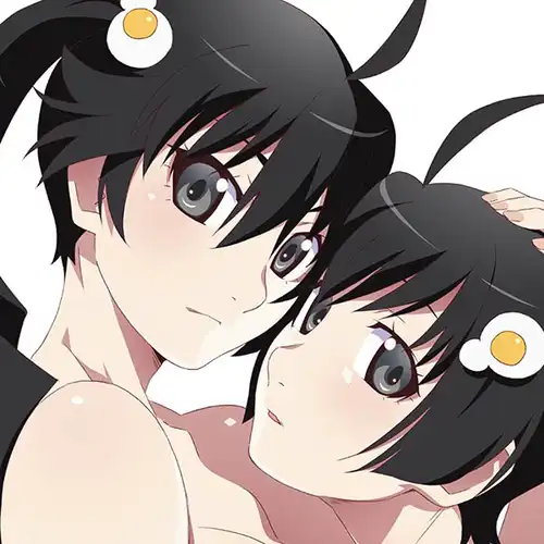 Nisemonogatari & Nekomonogatari (Kuro) Original Soundtracks cover