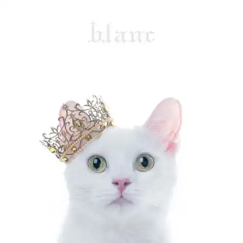 BEST SELECTION “blanc” cover