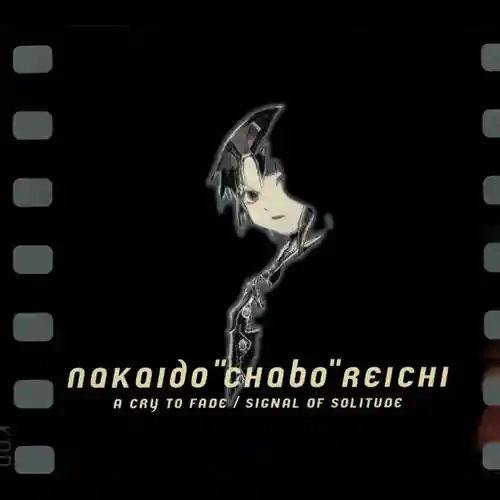 Serial Experiments Lain - A Cry To Fade / Signal Of Solitude cover