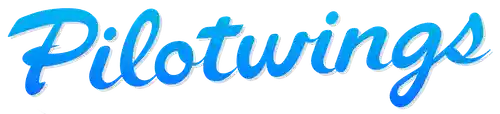 pilotwings